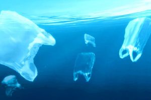 Šibenik obilježio dan protiv plastičnih vrećica