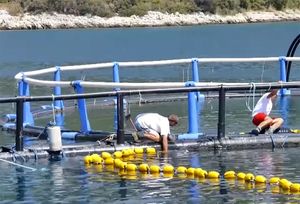 KALJANI ORGANIZIRALI PETICIJU Traže izmjene Zakona o morskom ribarstvu