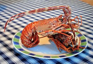 ŽELINA KUŽINA Jastog s tjesteninom