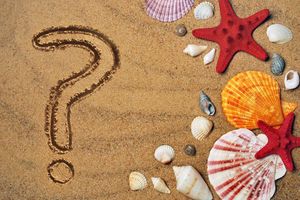 JESTE LI ZNALI? Za kamenicima je bio lud i pračovjek!