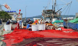 Ulaganja koja jačaju otpornost otočnog ribarstva: Odobrena sredstva za tri projekta s Kvarnera