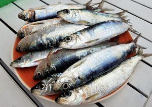 SRDELE SE VRATILE U RIBARNICE Ovo su provjereni recepti koje trebate iskušati