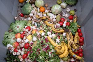 Hrvati godišnje bace čak 400.000 tona hrane