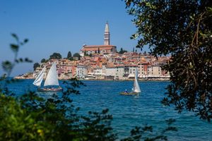Na Cuvima u Rovinju posađeno 30 sadnica bora i čempresa