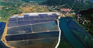 Najstarija europska solana, zaštitni znak Stona