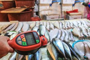 POSLJEDICE FUKUSHIME Trebamo li strahovati od kontaminirane hrane iz Tihog oceana?