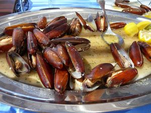 UHIĆENJA U DALMACIJI Talijani i Hrvati uhvaćeni u trgovanju strogo zaštićenim morskim vrstama