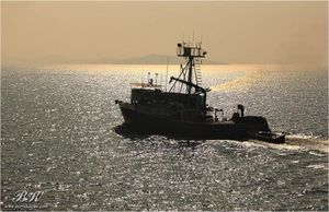 Nova privremena obustava ribolova zbog pandemije COVID-19