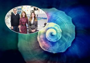 Molekularni biolozi s “Ruđera” prvi put opisali genetičke elemente jedanaest vrsta školjkaša