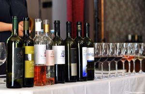 Objavljeni natječaji za promociju hrvatskih vina na stranim tržištima