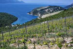 Rast vrijednosti poljoprivredne proizvodnje na gotovo 19 milijardi kuna