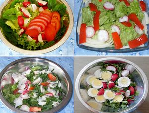 JEDNOSTAVNI DOMAĆI RECEPTI Šarene salate