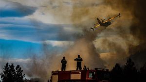 IZGORJELO 5 HEKTARA ŠUME Dva kanadera iz zraka i 60 vatrogasaca na tlu suzbili požar na Braču