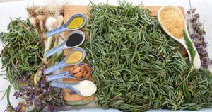 MOTAR Kako ga pripremati?