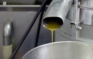 Doznajte koja je tajna vrhunskog maslinovog ulja