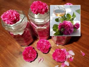 STAĐON OD ROZOLINE Recepti dubrovačkog primorja