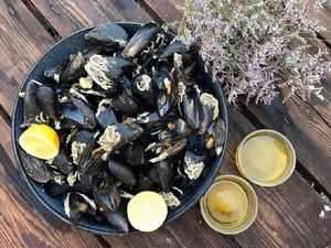 RECEPTI DUBROVAČKOG PRIMORJA Zapečene mušule (dagnje)