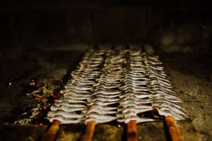 Posebne godišnje ribolovne dozvole moguće kupiti do 28. veljače