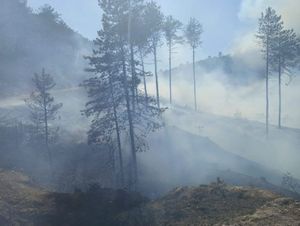 UPOZORENJE GRAĐANIMA Puno je požara otvorenog prostora, pripazite!