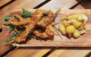 POHOVANI KRAKOVI OD HOBOTNICE Recepti dubrovačkog primorja