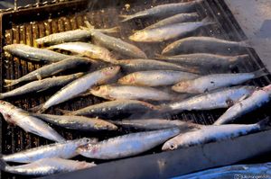 Ministrica poljoprivrede i dvoje zastupnika u Saboru netočno o potrošnji ribe