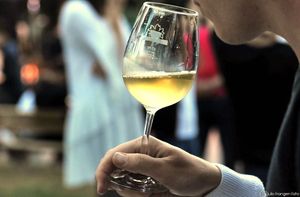 Belgijski i nizozemski novinari oduševljeni hrvatskim vinima