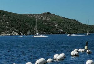 VIDEO Opasno divljanje jet skijevima ušćem rijeke Krke