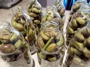 RECEPTI DUBROVAČKOG PRIMORJA Zaparene masline