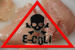 Ministarstvo poljoprivrede i AKD razvili aplikaciju za građane o neispravnoj hrani