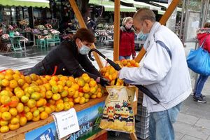 Proizvođači zadovoljni početkom inicijative plasmana mandarina na javnim površinama gradova i općina