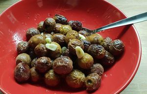 RECEPTI DUBROVAČKOG PRIMORJA Dalmatinska kraljica – Maslina