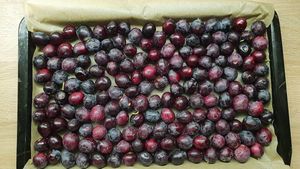 Najbolji recepti za pripremu crnih maslina