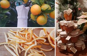 ARANCINI Recepti dubrovačkog primorja