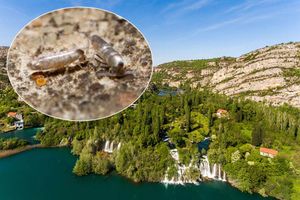 U Nacionalnom parku „Krka“ opisana još jedna nova vrsta