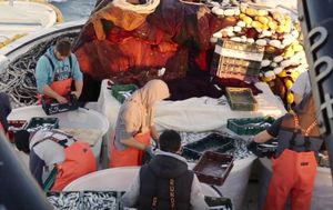 Ribarstvo i označavanje proizvoda glavne teme AGRIFISH-a