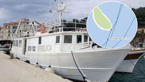 U arhipelagu Drvenika Velog nasukala se koća
