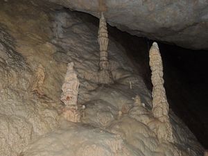 PODZEMNI SVIJET KRŠA Špilja Stara jametina