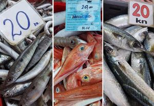 Što danas možeš s 20 kuna? Kavu na rivi ne možeš popiti, ali…