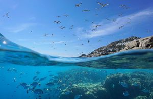 Svjetski je dan zaštite okoliša – Kako napreduje Hrvatska?