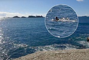 KUPANJE U VELJAČI Dvoje hrabrih u Dubrovniku nije marilo za temperature