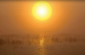 Vransko jezero i ušće Neretve – Zaštićena močvarna područja uz Jadran