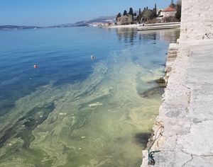 Neobična pojava u moru u Kaštelima zabrinula mještane