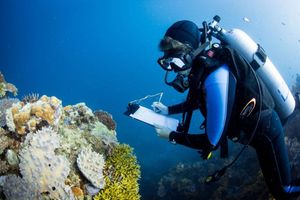 Institut za oceanografiju i ribarstvo zapošljava stručnjake