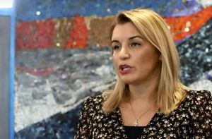 Brnjac: Moramo voditi računa da ne dođemo u tamnocrvenu zonu na ECDC karti