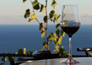 Počinje Festival peljeških podruma