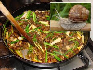 JEDNOSTAVNI DOMAĆI RECEPTI Vinogradski puževi, naša stara delicija