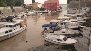 Zadarska Foša preplavljena pojavom cvatnje mora