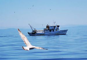 Nakon potonuća opožarene koće, ribarska zajednica jedinstvena: “Idemo pomoći ovoj obitelji!”