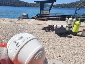 NP Mljet nastavlja s projektom očuvanja plemenite periske u južnom Jadranu