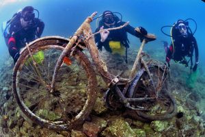 THINK GREEN – 40 ronilaca čisti podmorje Lastovskog otočja